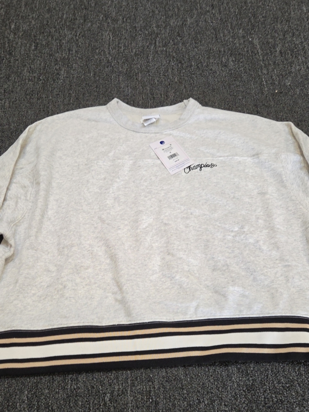 (#2C) Champion Heather Gray Crewneck Sweater with Striped Hem